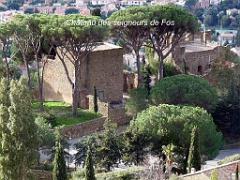 183 D24 BORMES LES MIMOSAS 2_000016